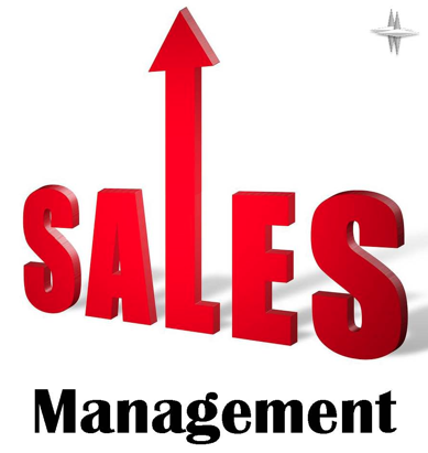 Sales Management System Project in C++