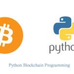 Python Blockchain Programming