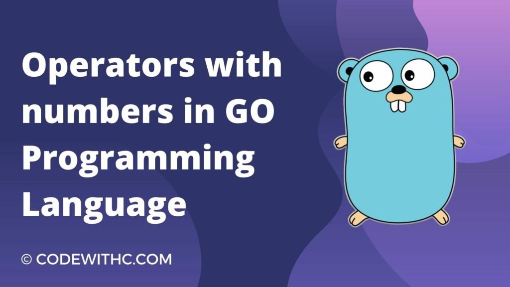 golang operators in assignment