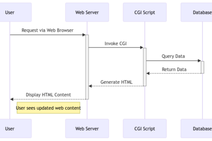 Common Gateway Interface: The Unsung Hero of Web Interaction
