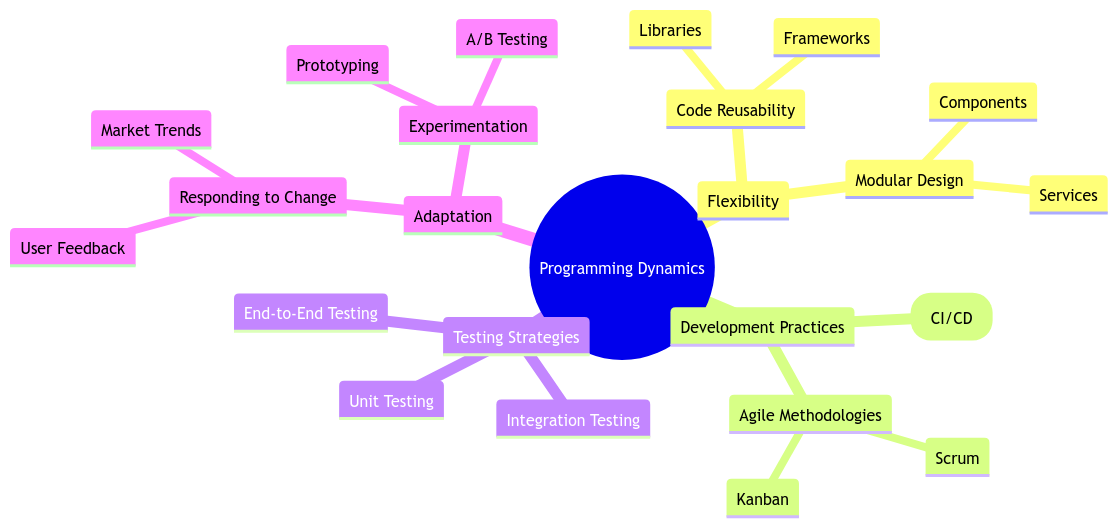 Programming Dynamic: Enhancing Flexibility in Software Development Programming Dynamic: Enhancing Flexibility in Software Development